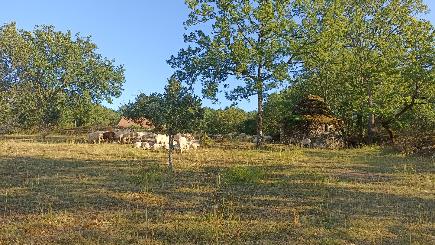 GreenGo Les Tavernes