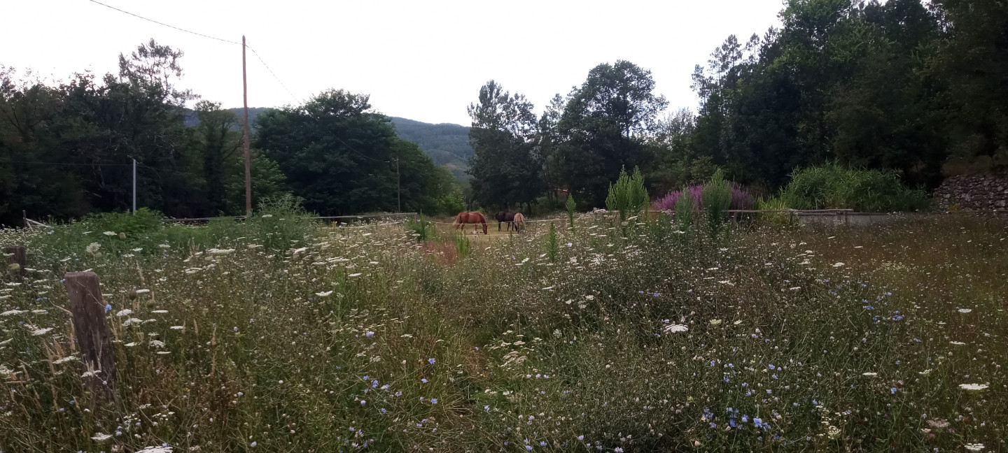 GreenGo Gîte Auvergne-Rhône-Alpes Évasion