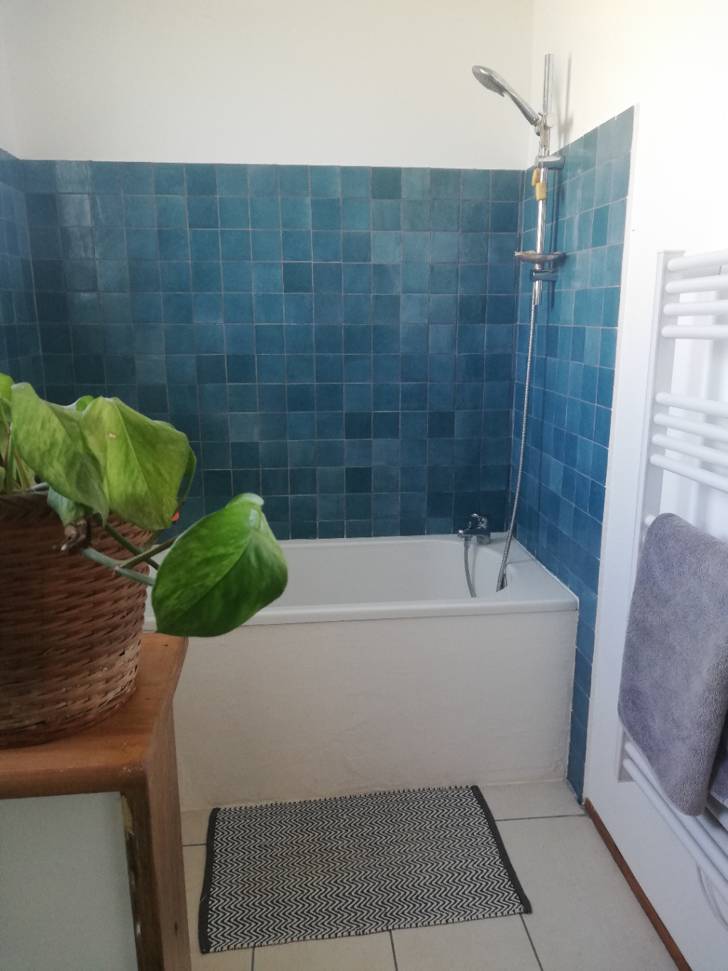 GreenGo Chambre chez l’habitant Centre-Val de Loire En ville