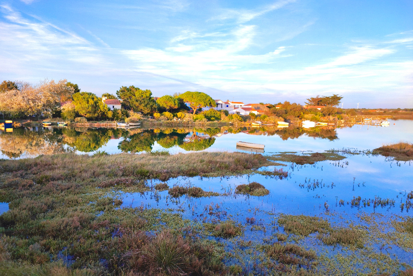 GreenGo location vacances écoresponsables