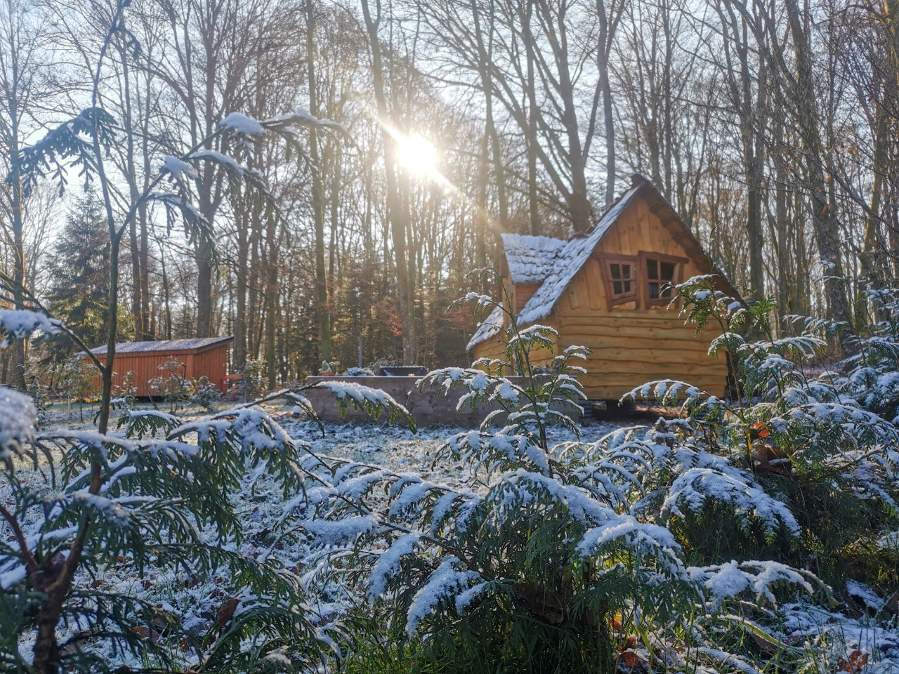 orderedImageAlt_accommodation_default