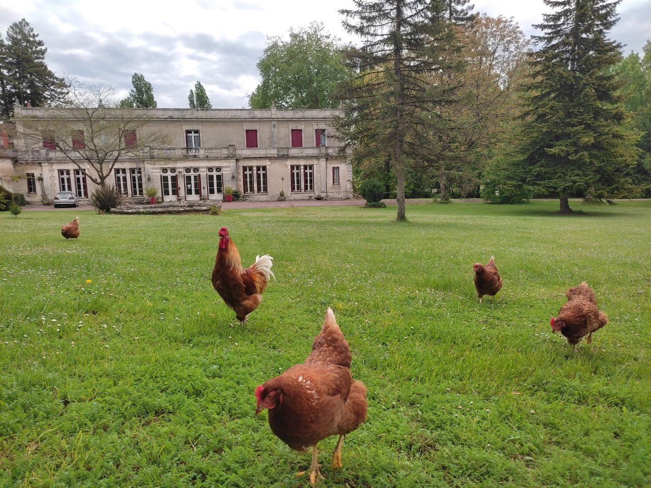 GreenGo Gîte Nouvelle-Aquitaine Évasion
