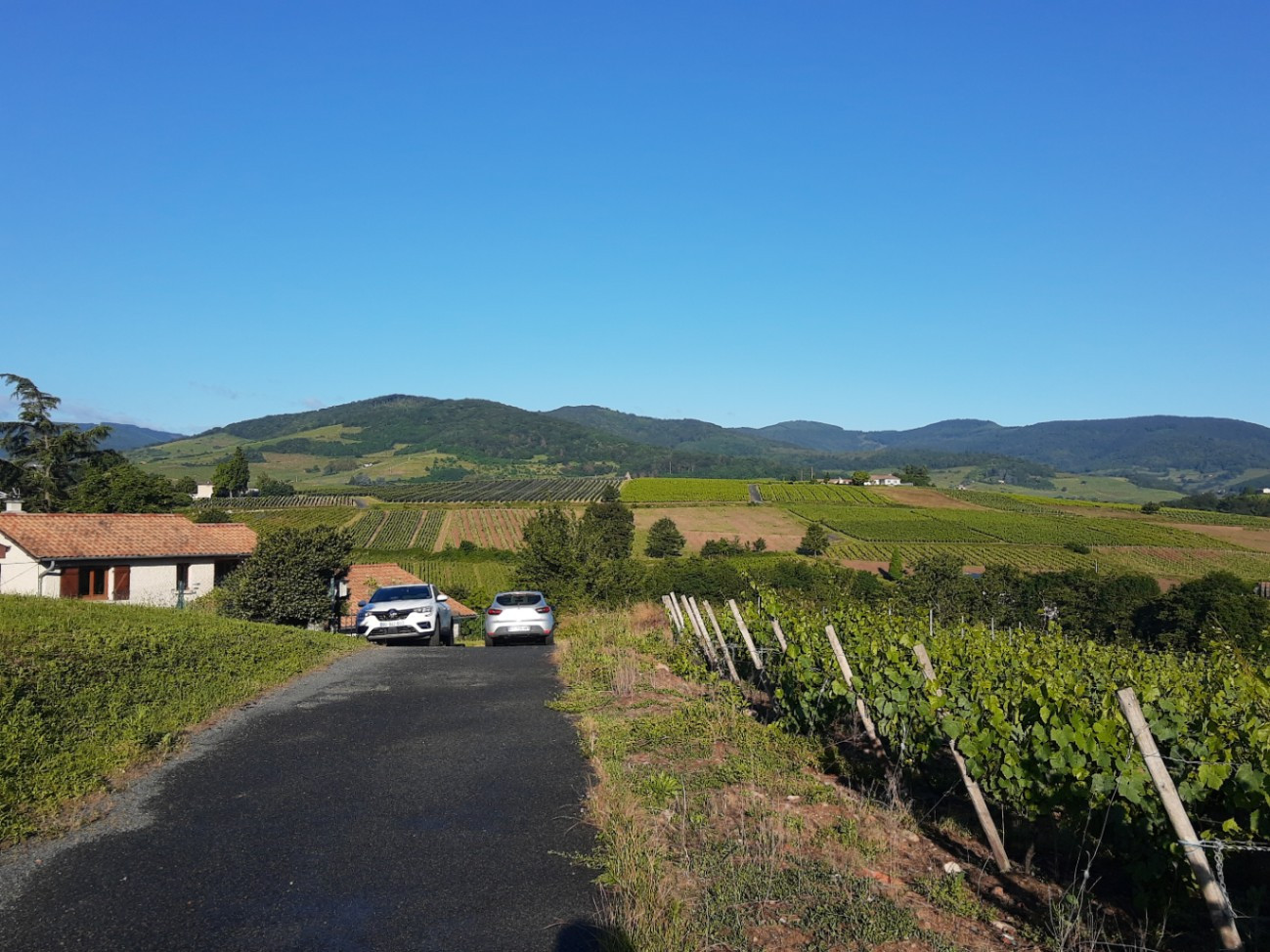 La Roche - au calme face aux vignes