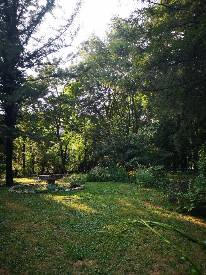 Location Lot En forêt