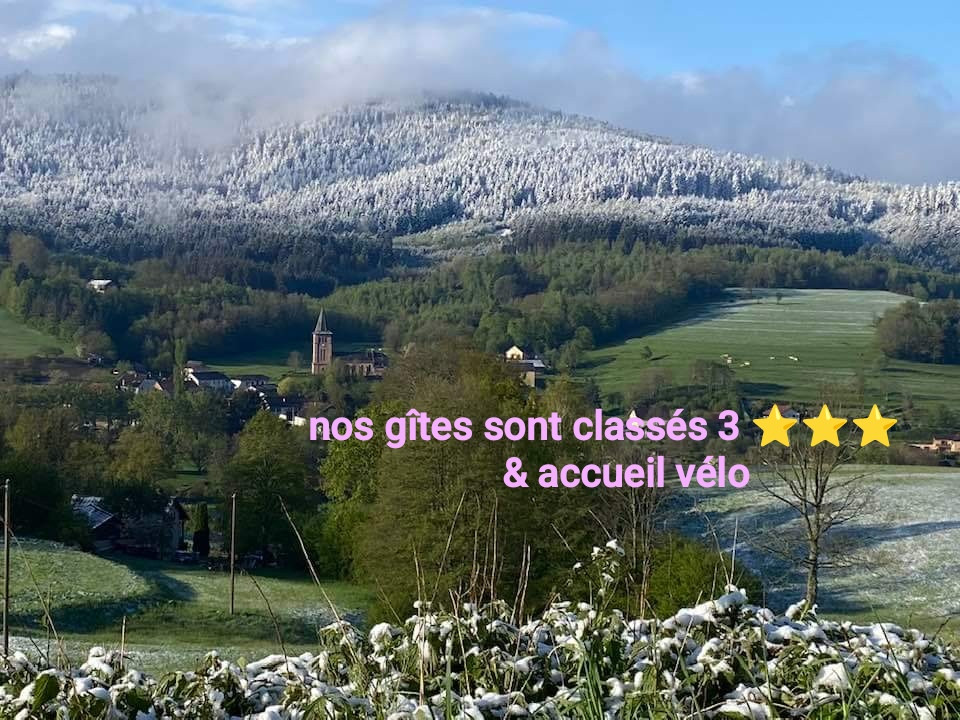 Logement GreenGo: Gite ô sapin