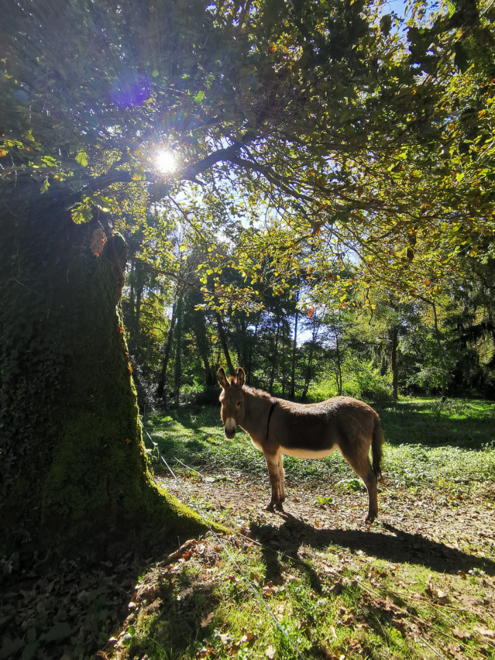GreenGo location vacances écoresponsables