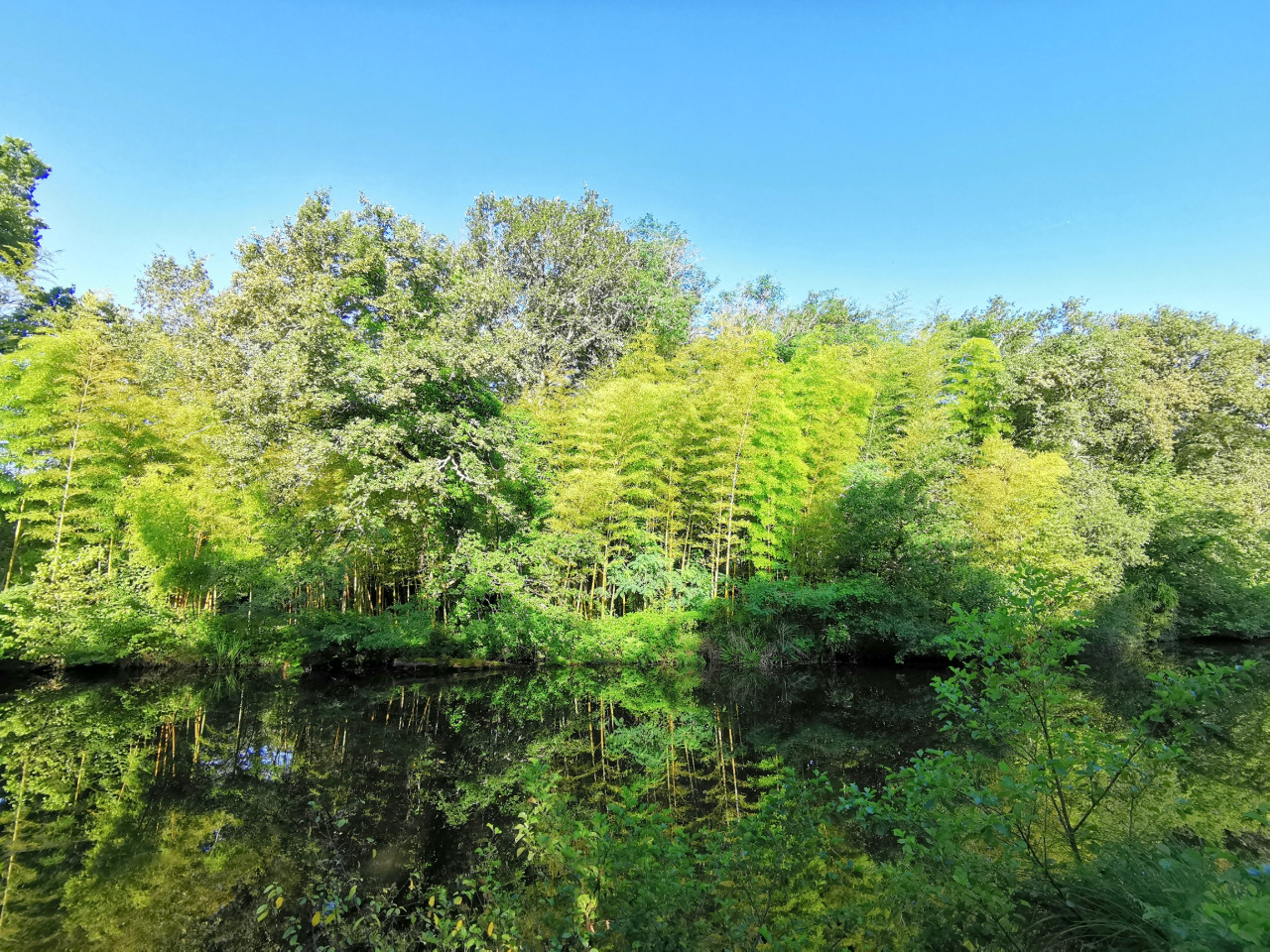 GreenGo Gîte Nouvelle-Aquitaine Évasion