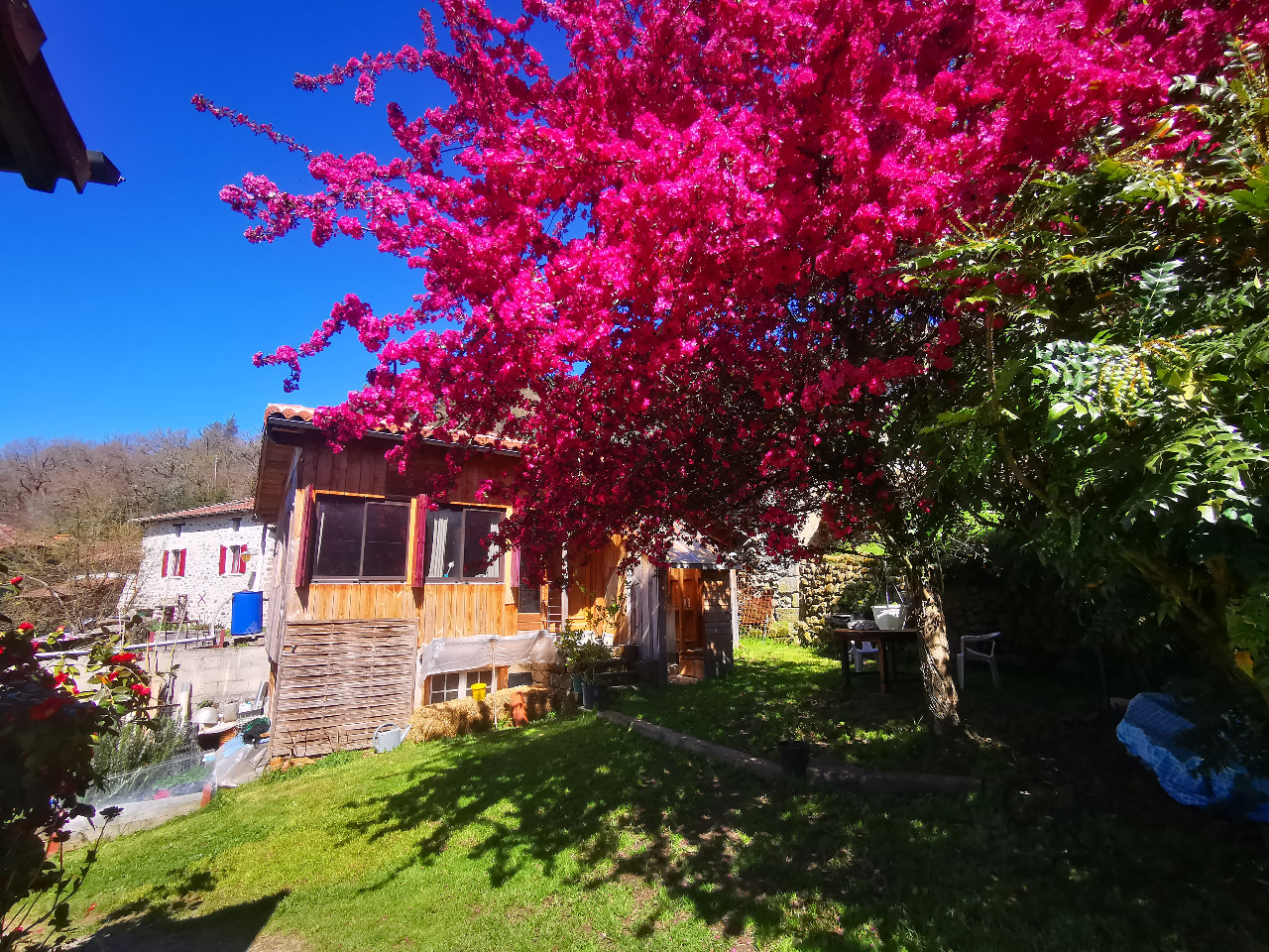 Abracabrada, la petite ferme de Laromiguière