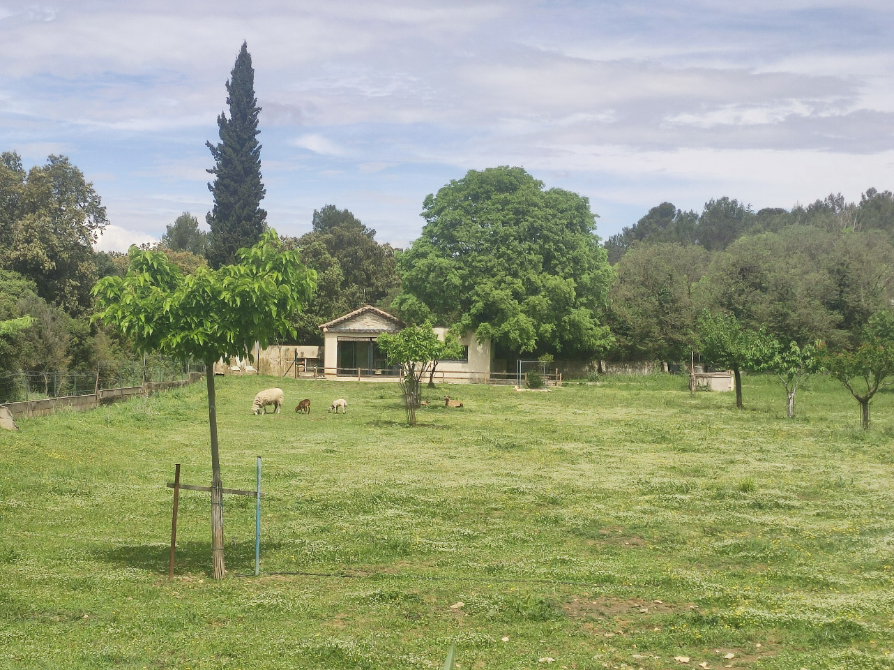Hôte GreenGo: Le Mazet