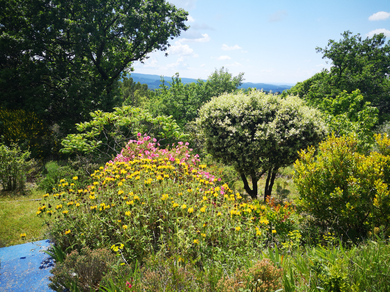  Vaucluse À la campagne