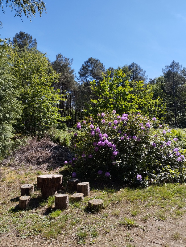 Sarthe En forêt