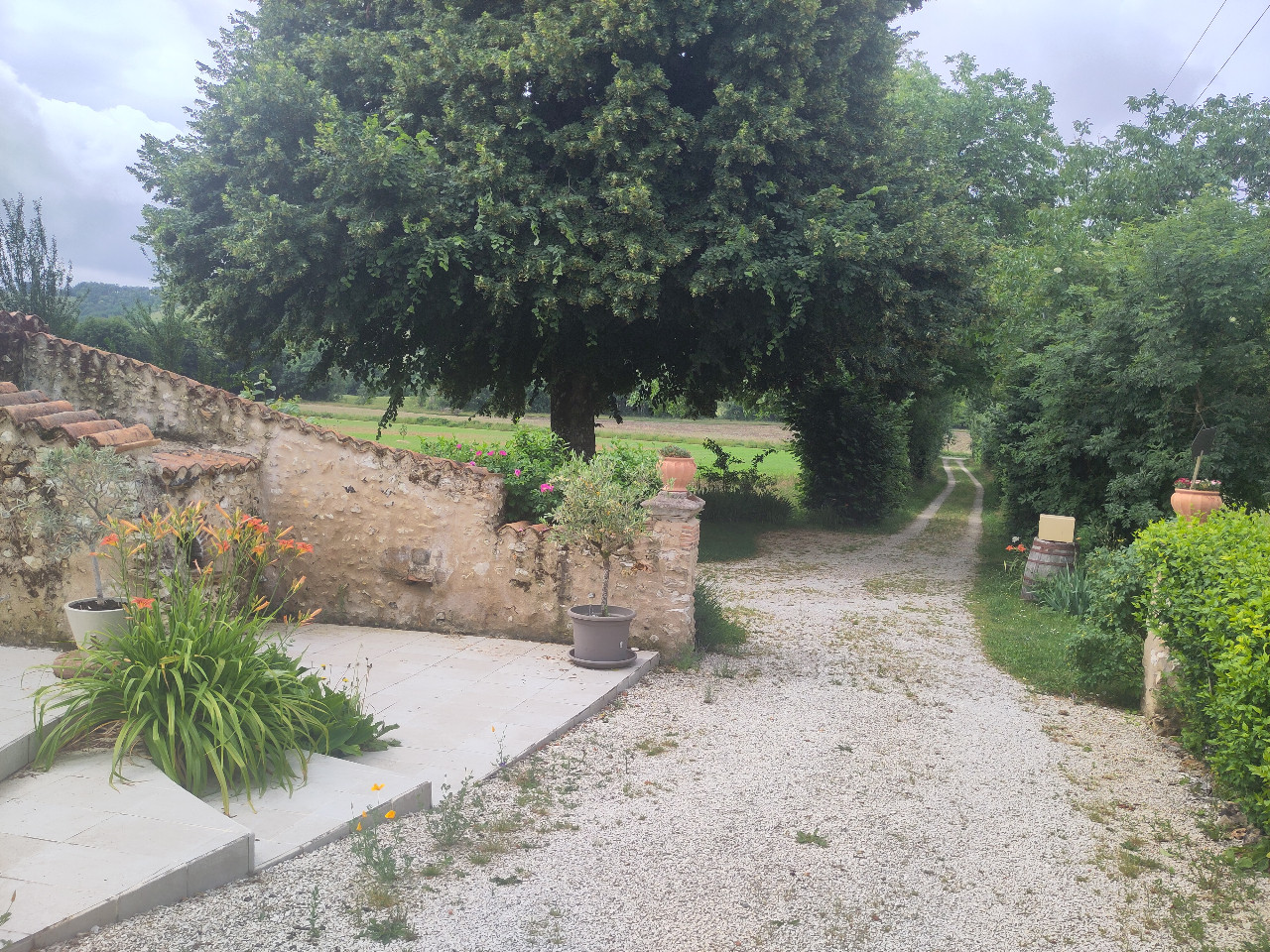 GreenGo L'herboristerie