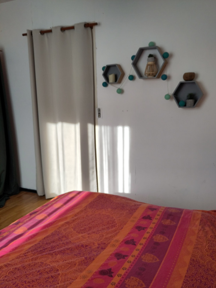 GreenGo Chambre chez l’habitant Pays de la Loire En ville