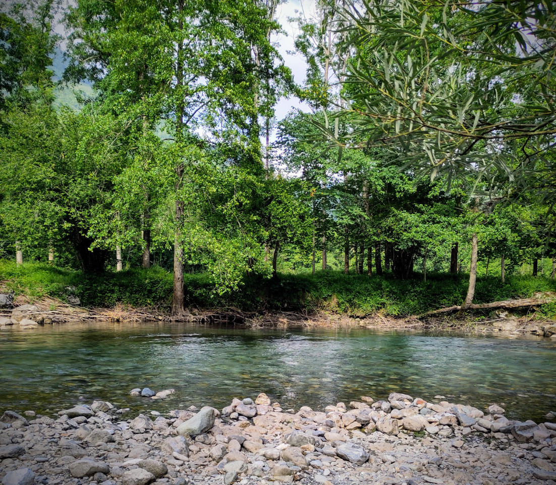 GreenGo location vacances écoresponsables