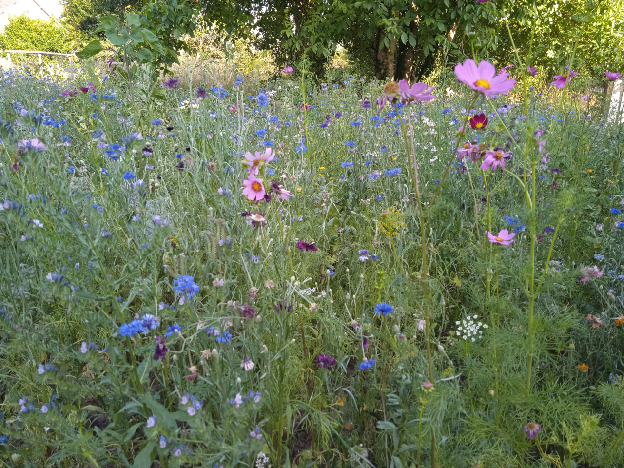 Seine-et-Marne À la campagne