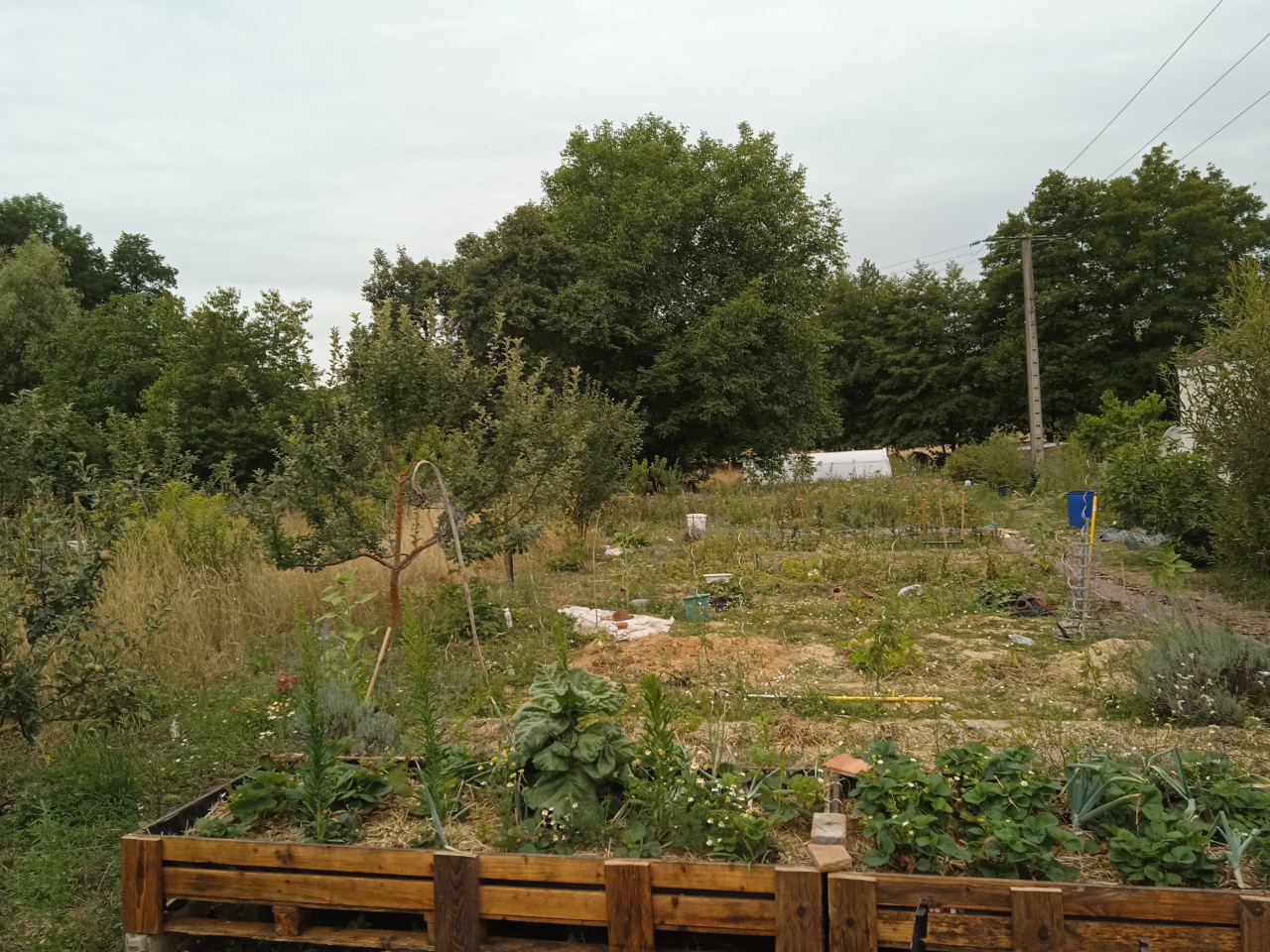 GreenGo Chambres à la campagne avec rivière et bois