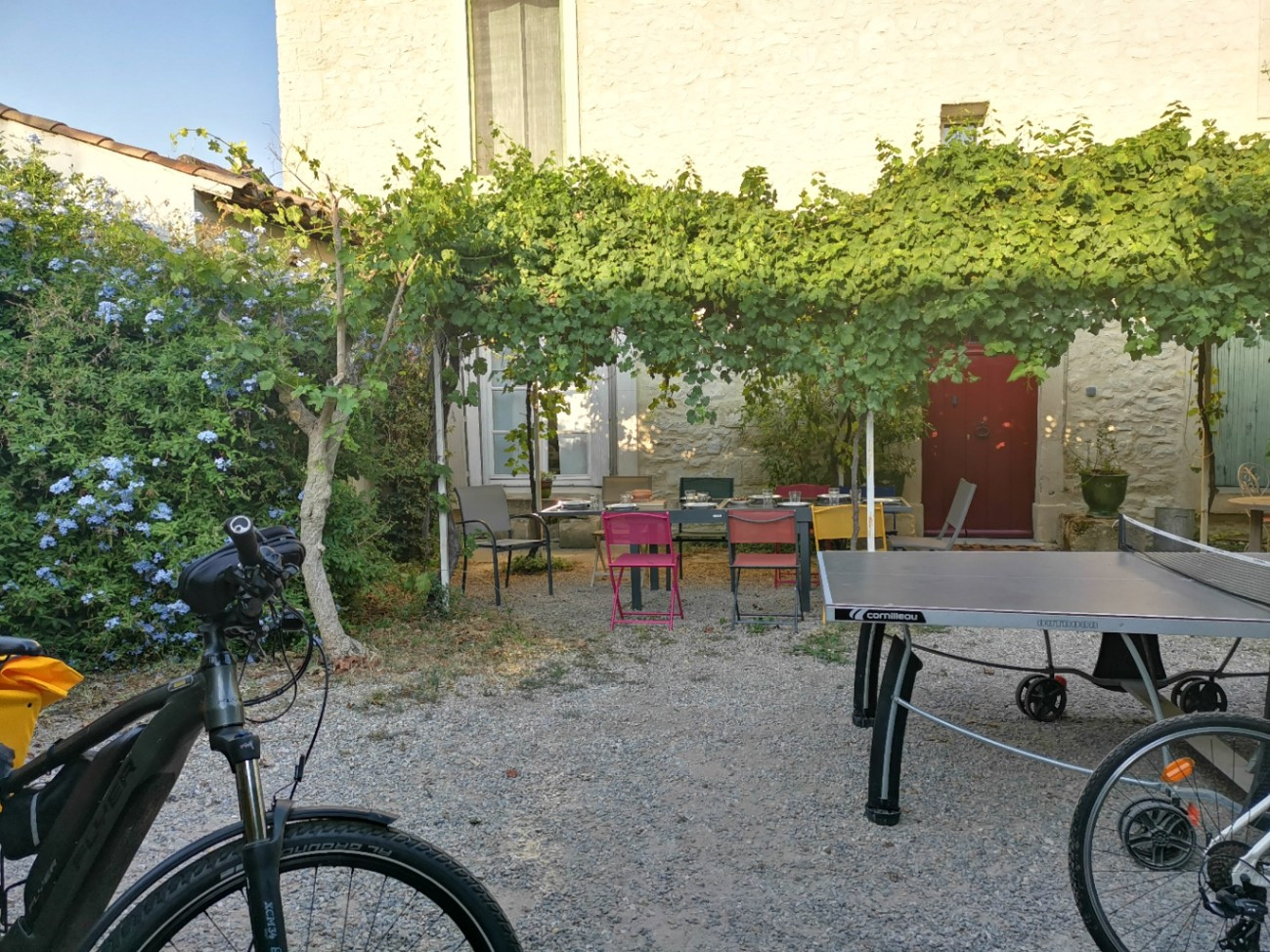La tanière