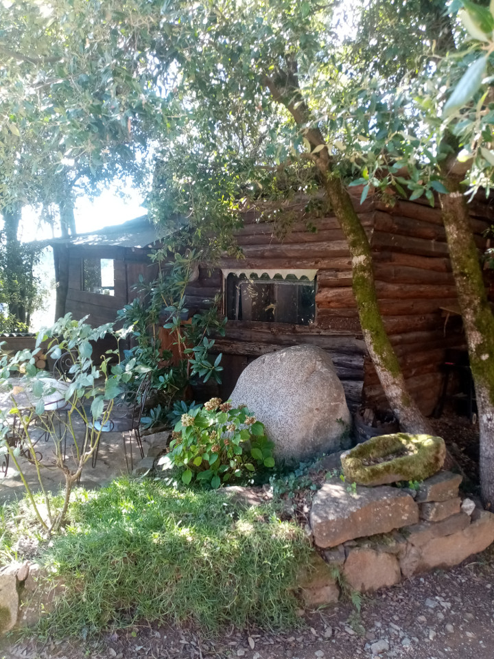 GreenGo À l'orée du bois