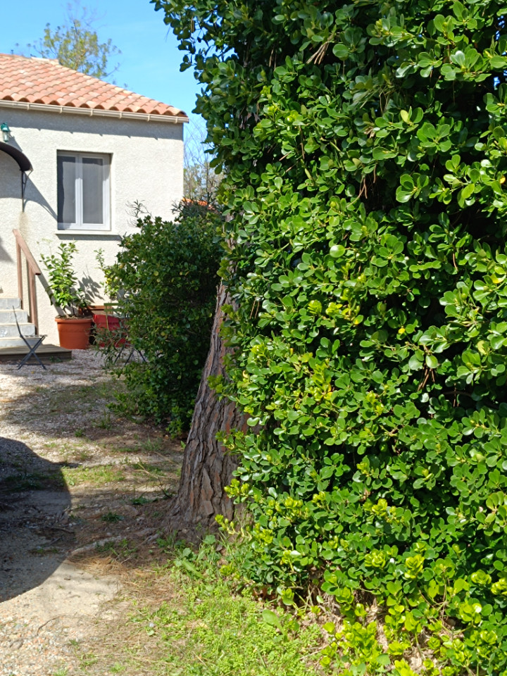 Bienvenue chez Anne à Narbonne