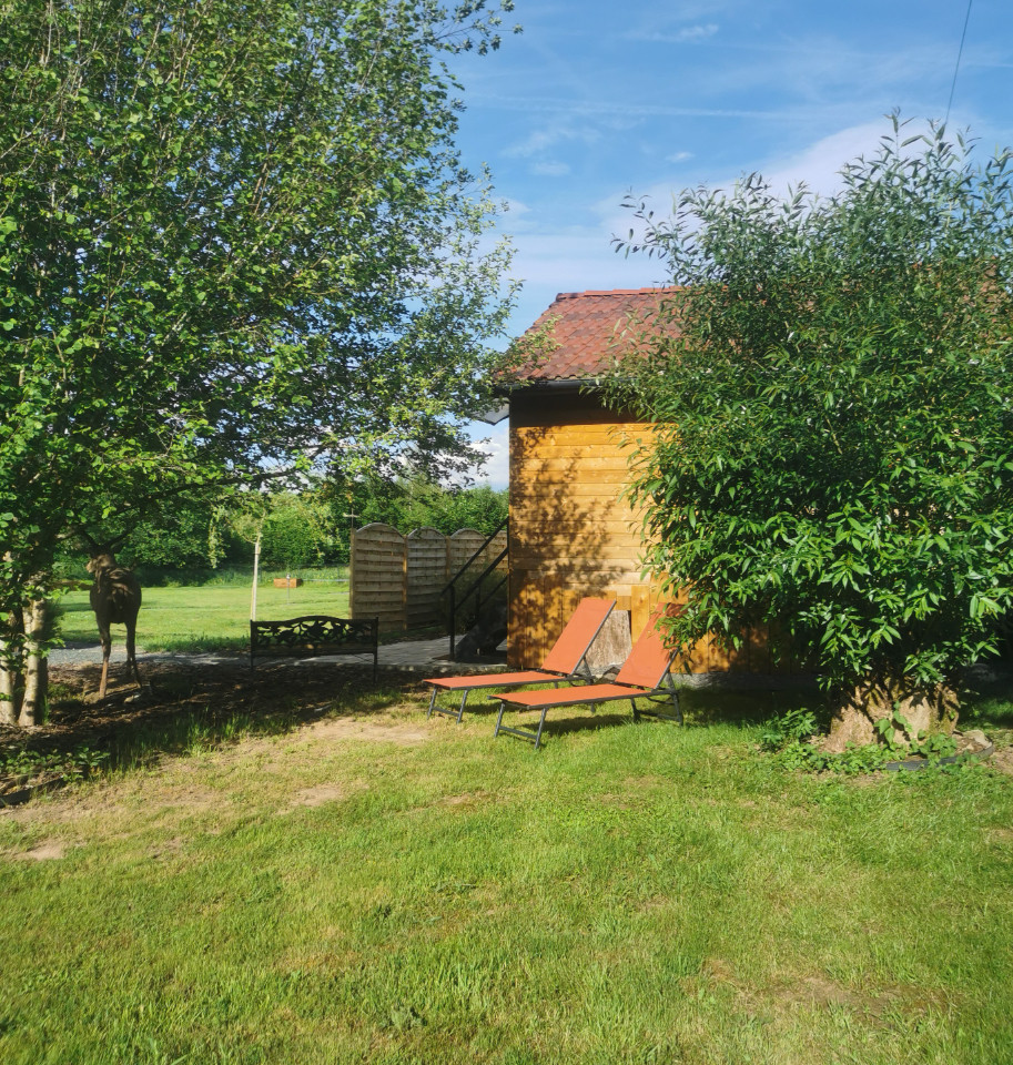 GreenGo location vacances écoresponsables