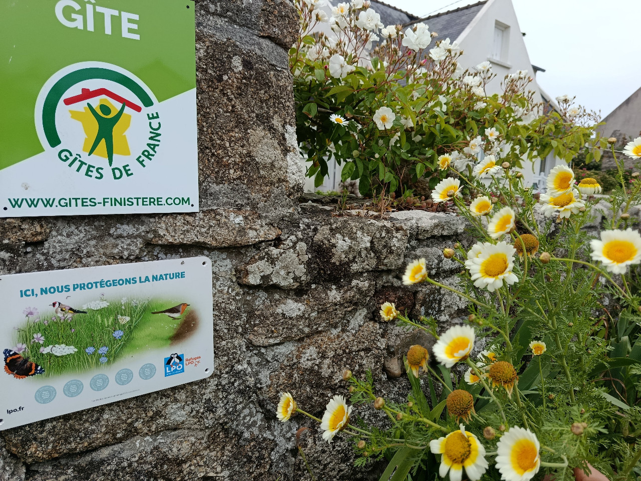 GreenGo location vacances écoresponsables