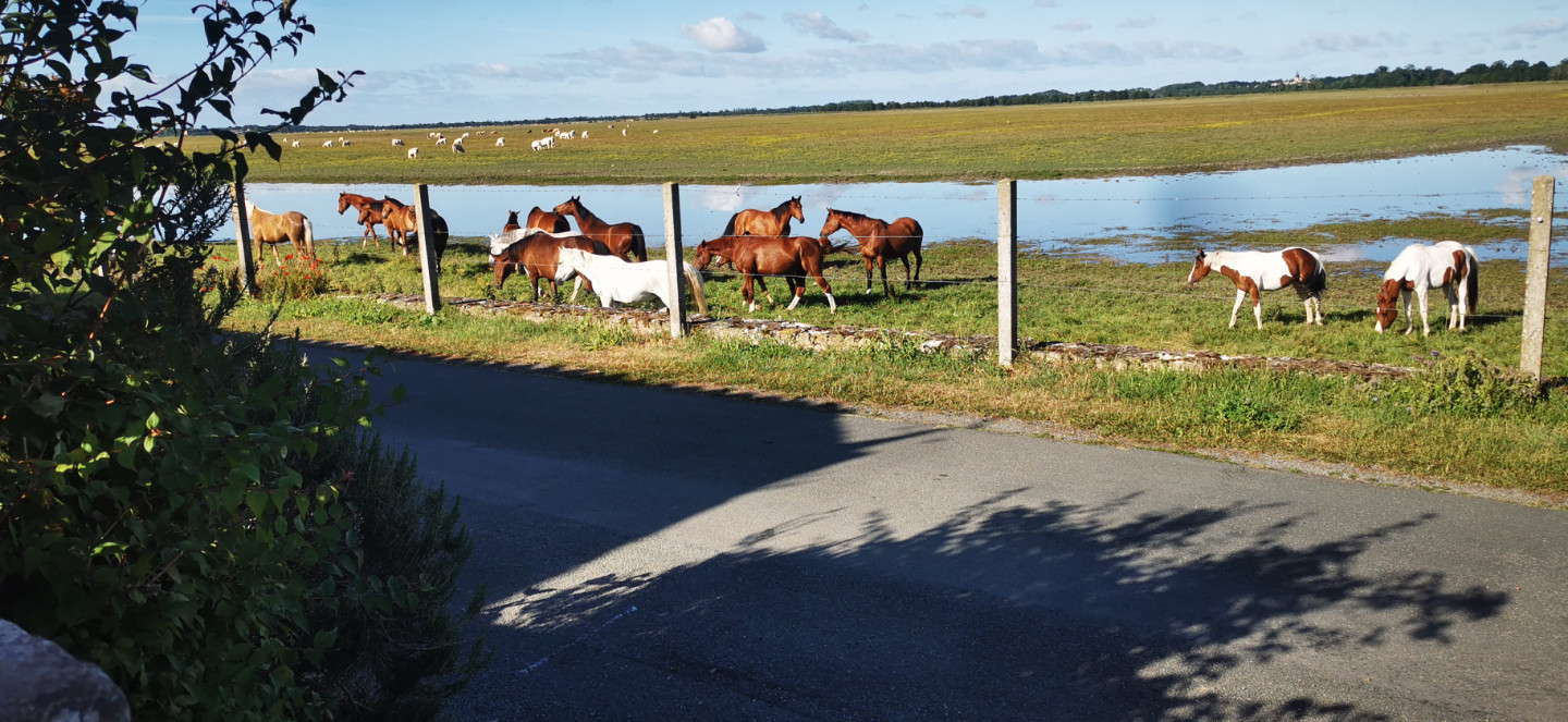 Vendée À la campagne