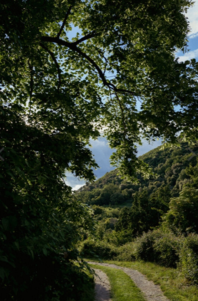 orderedImageAlt_accommodation_default