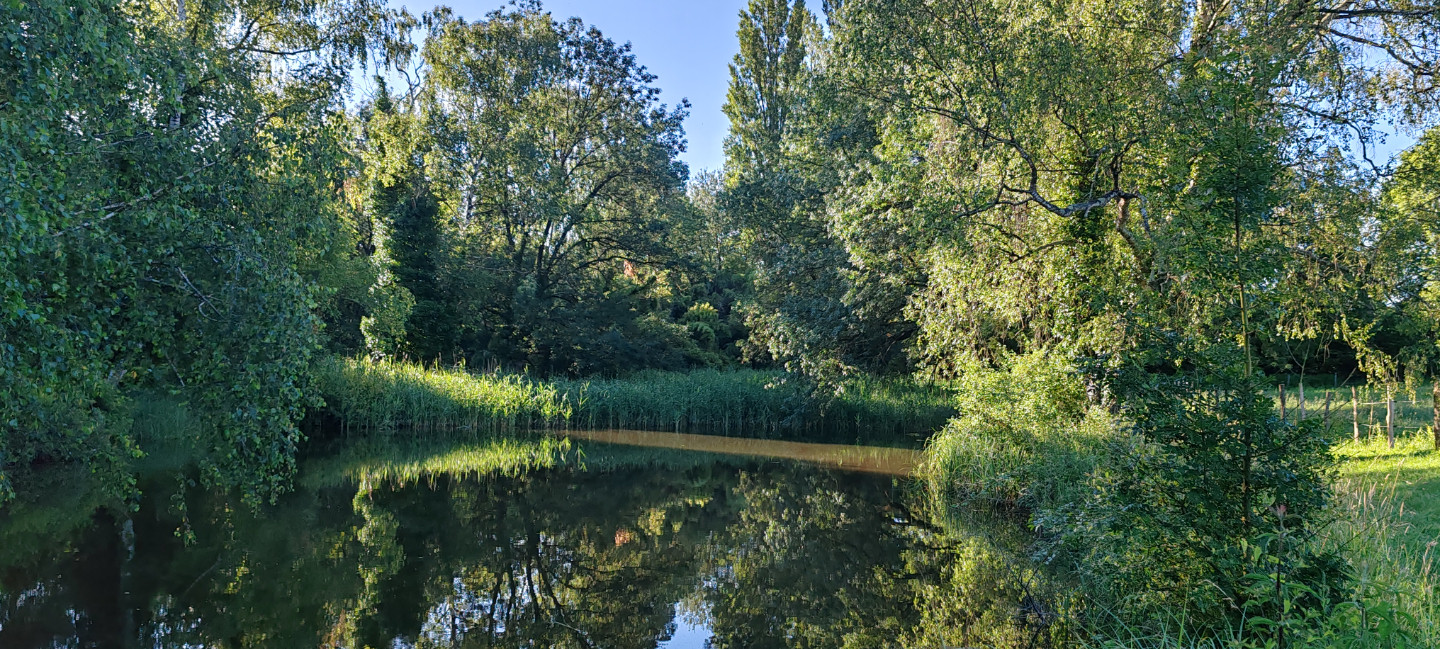 Le Bruit des Feuilles : Gîte nature avec bain nordique, étang, bambouseraie
