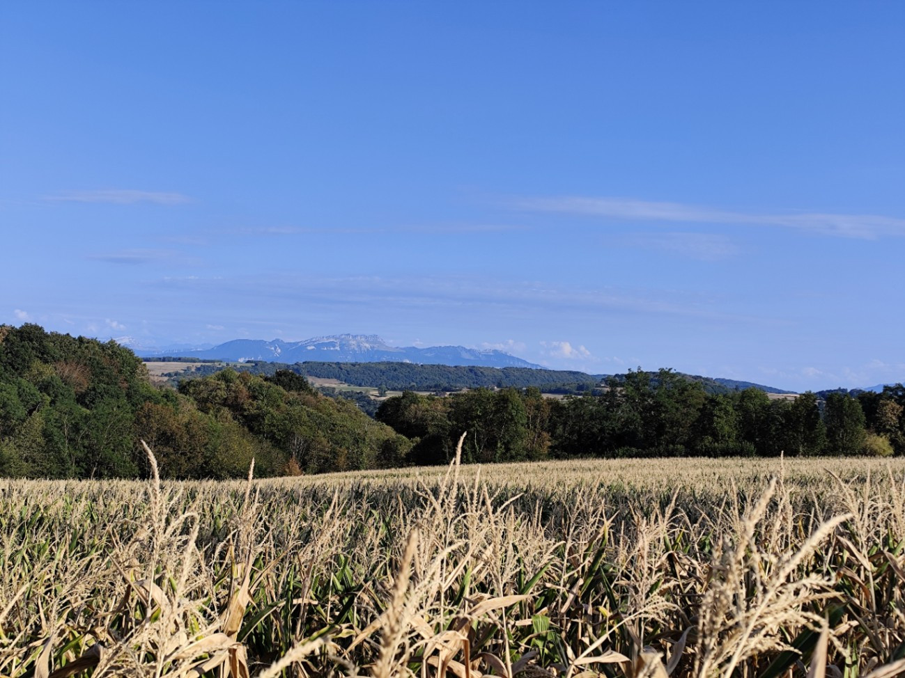 GreenGo location vacances écoresponsables