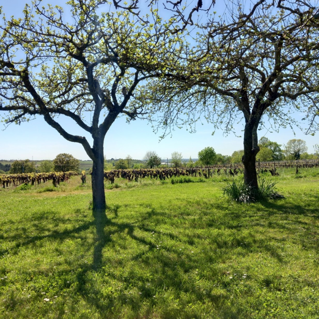 GreenGo location vacances écoresponsables