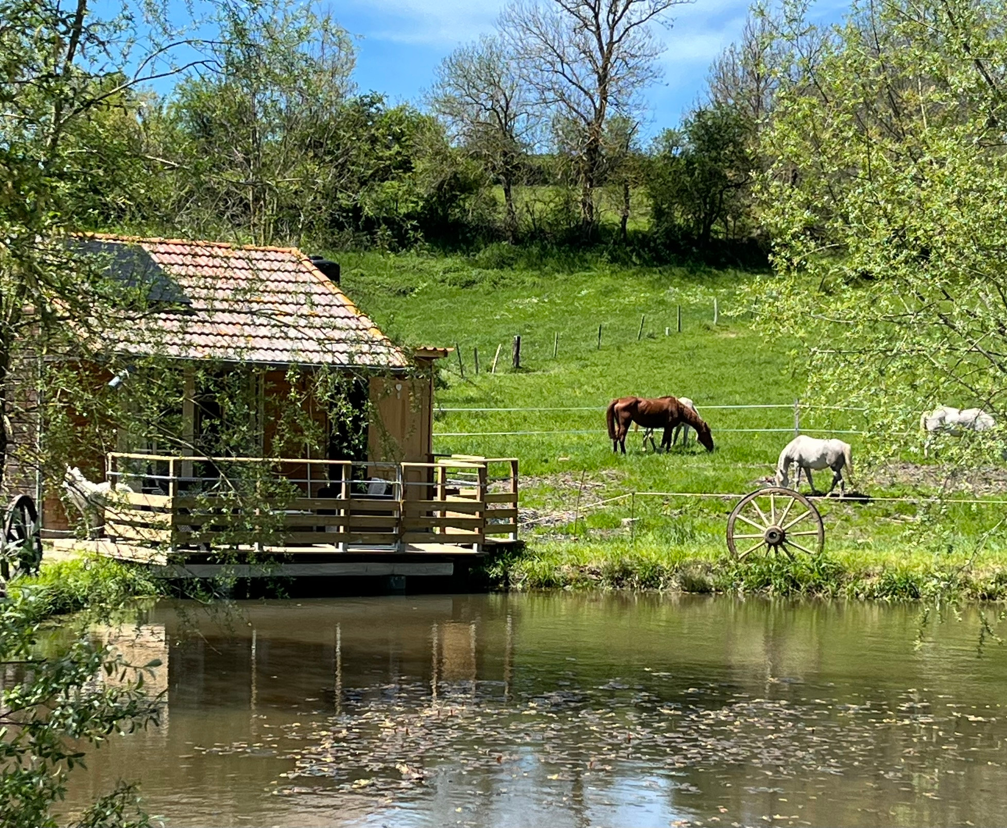 Hôte GreenGo: Cabane au bord de l'eau: endroit paisible