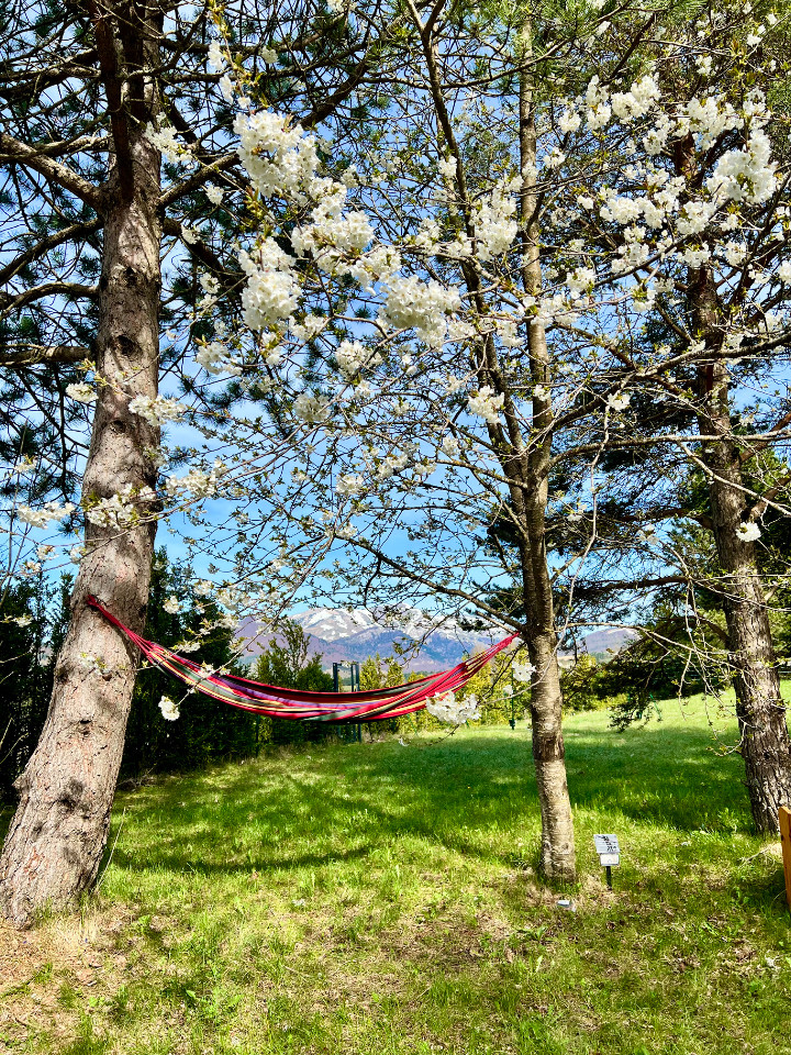 GreenGo location vacances écoresponsables
