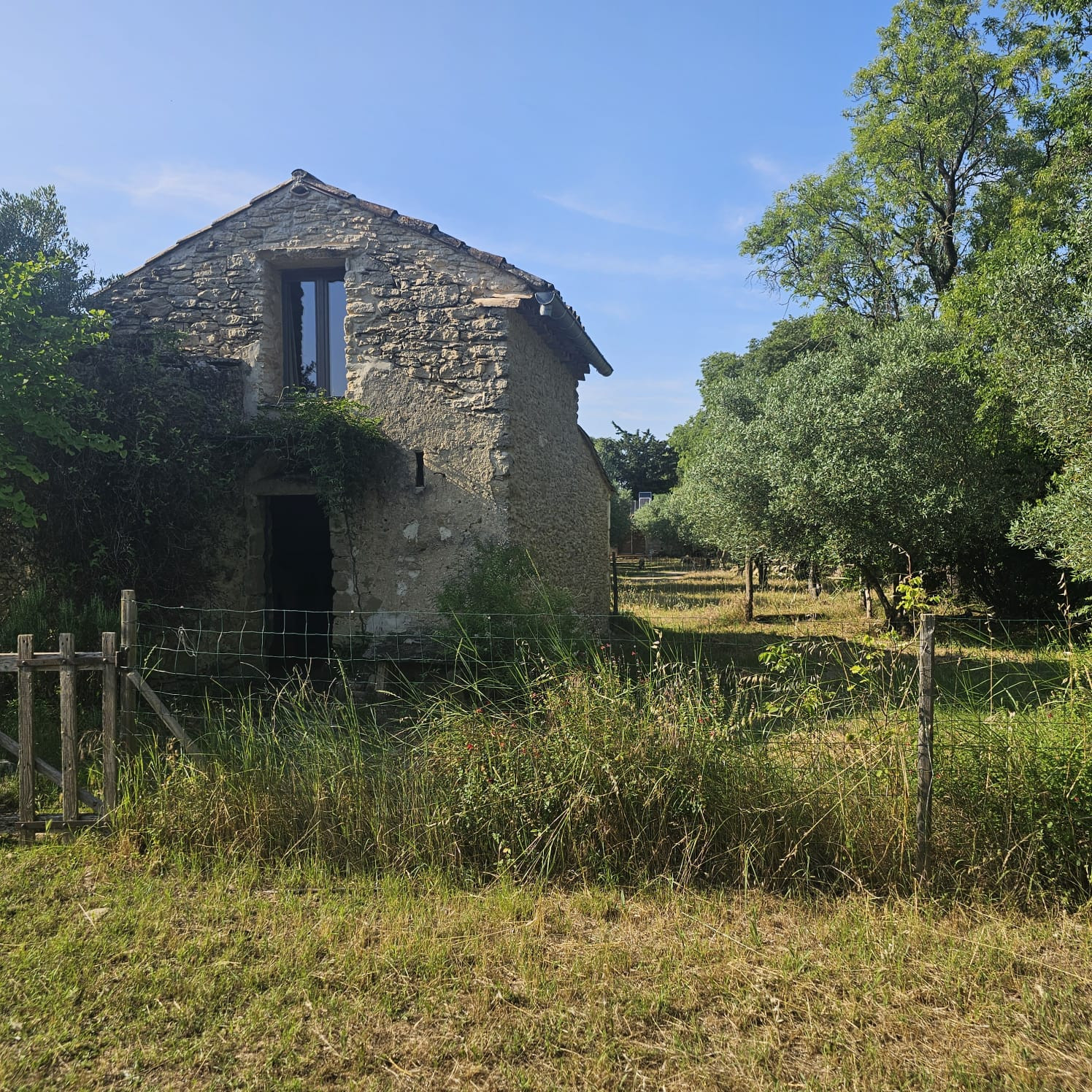Hôte GreenGo: Mazet à la Ferme des clos d'Uzes