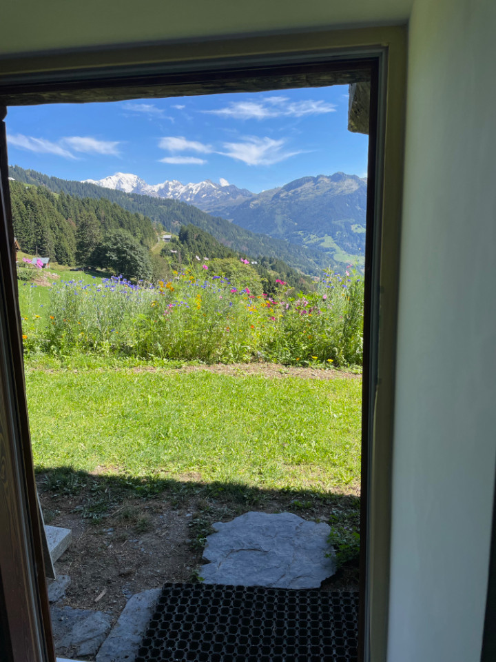  Savoie En forêt