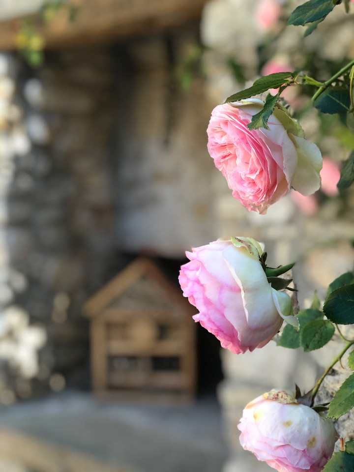 GreenGo L'Autre Maison - Gîte de charme entre Uzès et les Cévennes