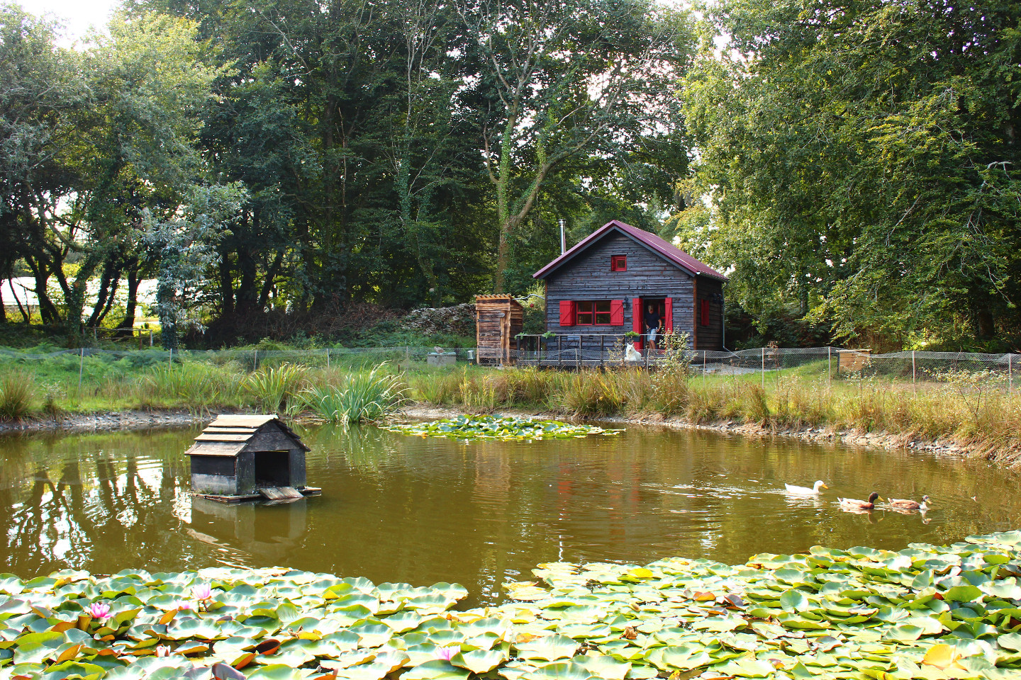 GreenGo location vacances écoresponsables