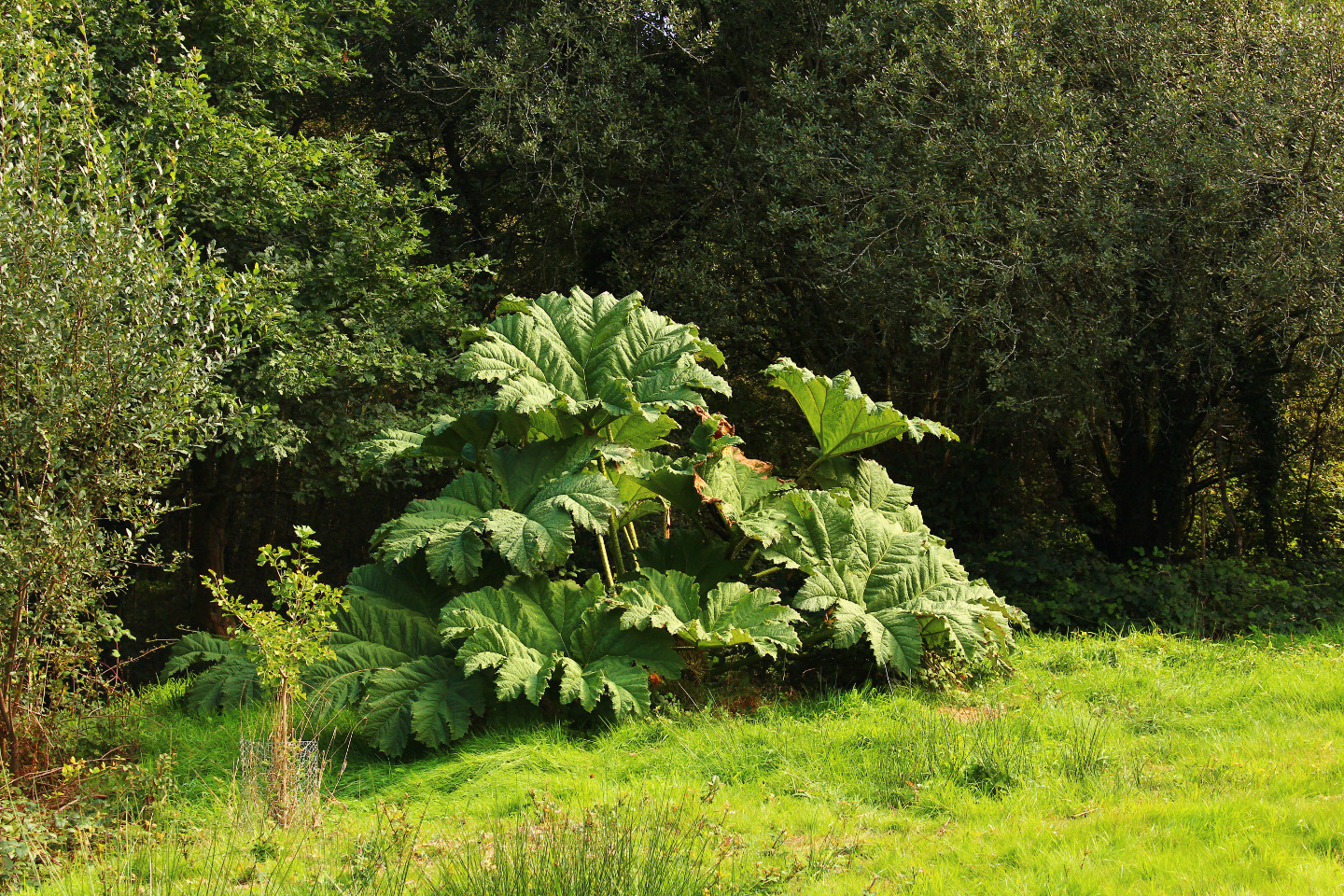 Logement insolite Côtes-d'Armor À la campagne