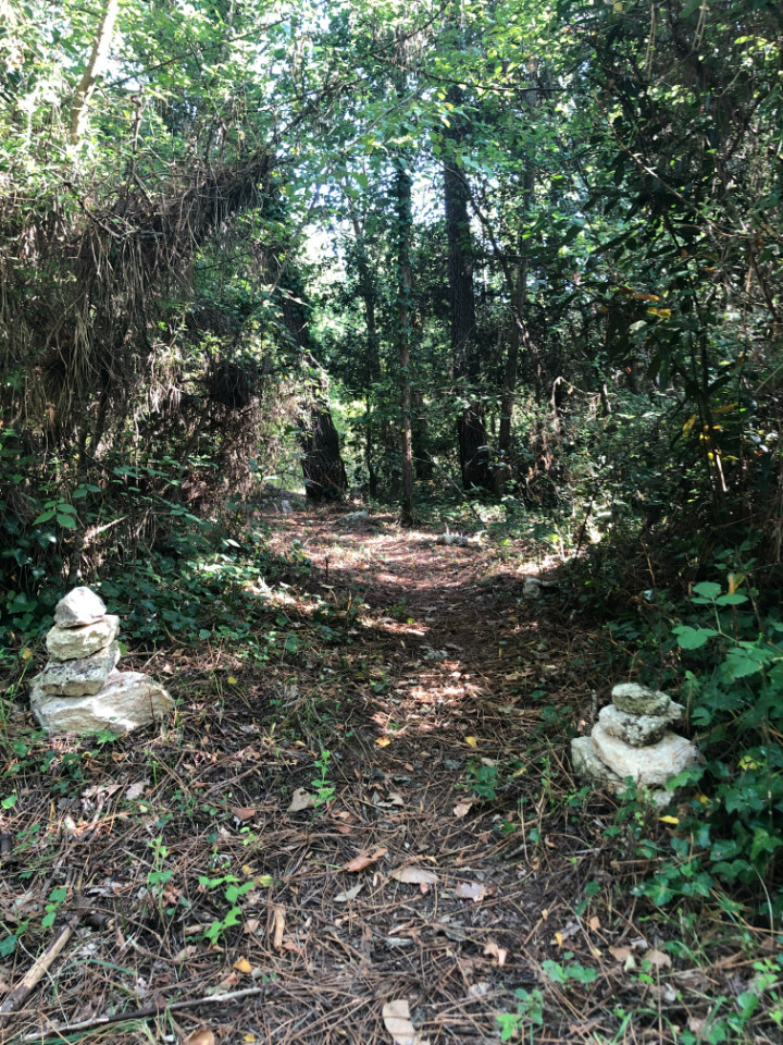 GreenGo La roulotte des bois d'Oléron