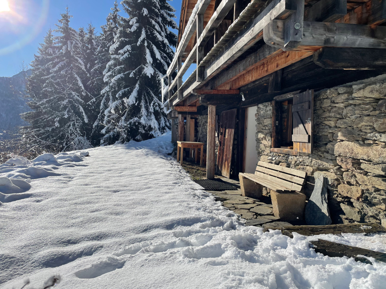 GreenGo Le petit érable - vue Mont Blanc