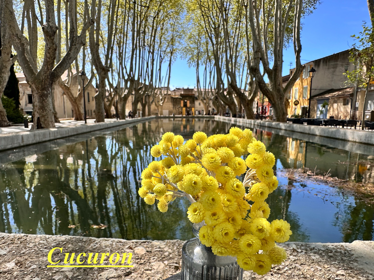 GreenGo Location Provence-Alpes-Côte d'Azur Évasion