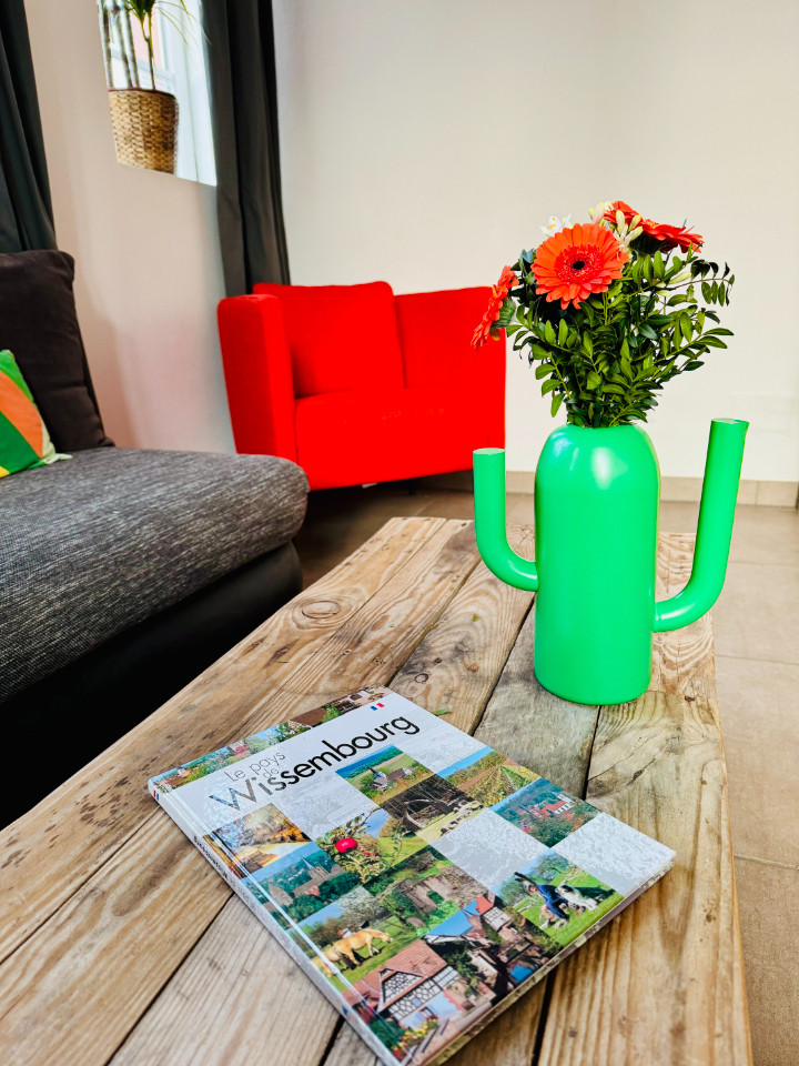 Color Lodge - appartement 4 personnes - les gîtes de Wissembourg
