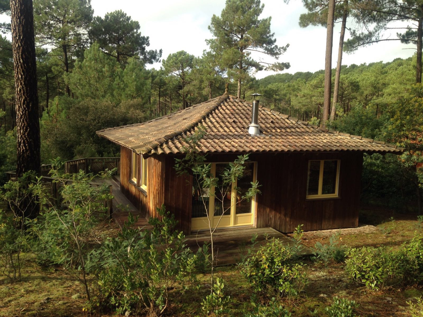 Hôte GreenGo: La maison de la forêt