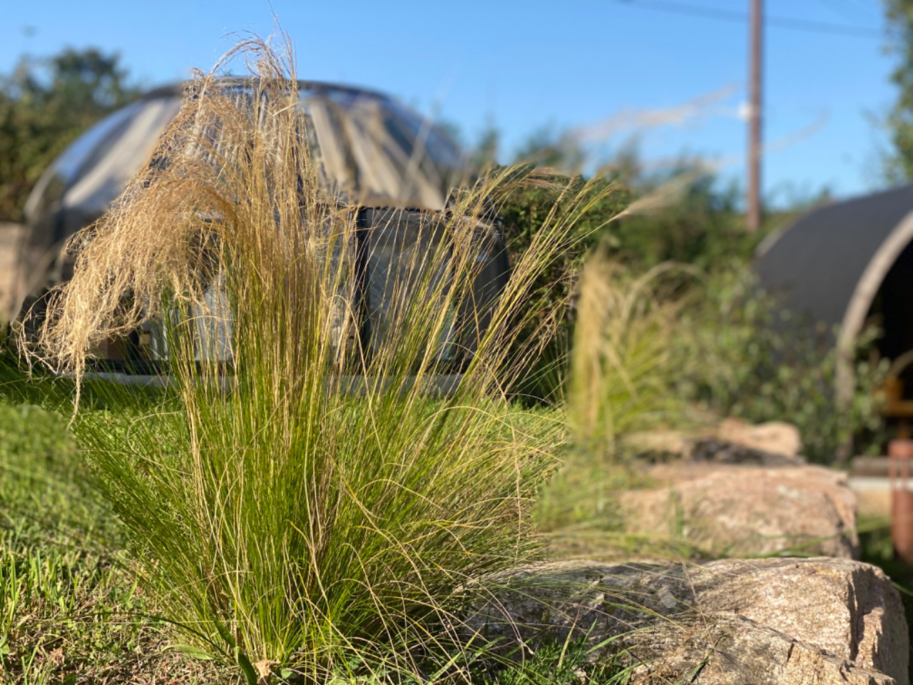  Saône-et-Loire Glamping