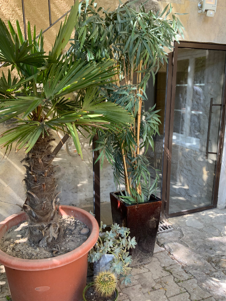 GreenGo Location Provence-Alpes-Côte d'Azur Évasion
