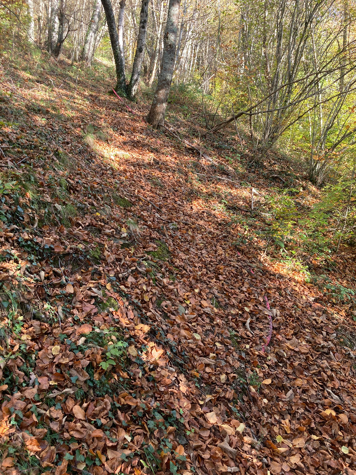 Logement insolite Ariège En forêt