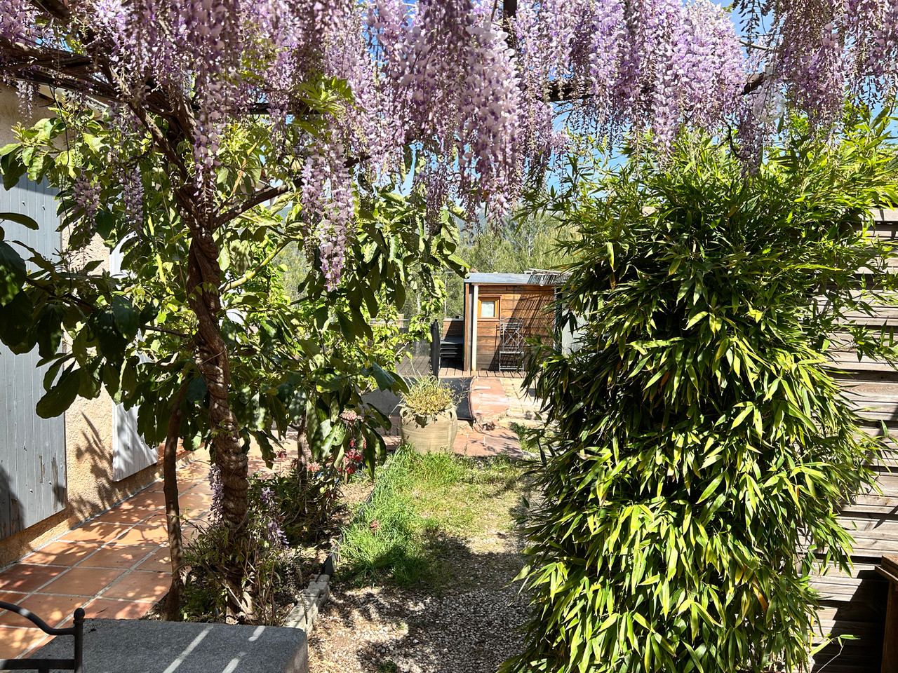 GreenGo La cabane