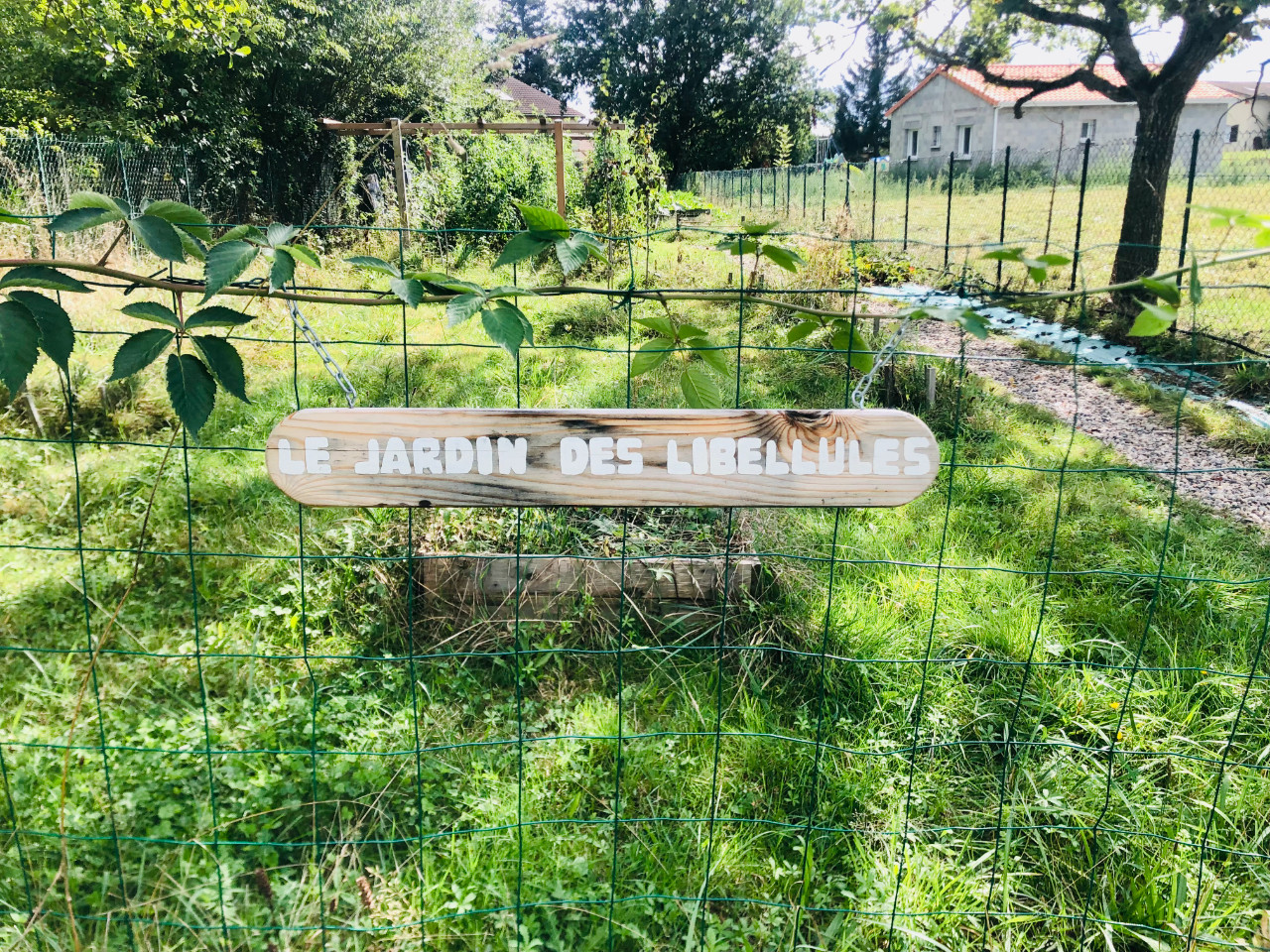 GreenGo Lejardindeslibellules