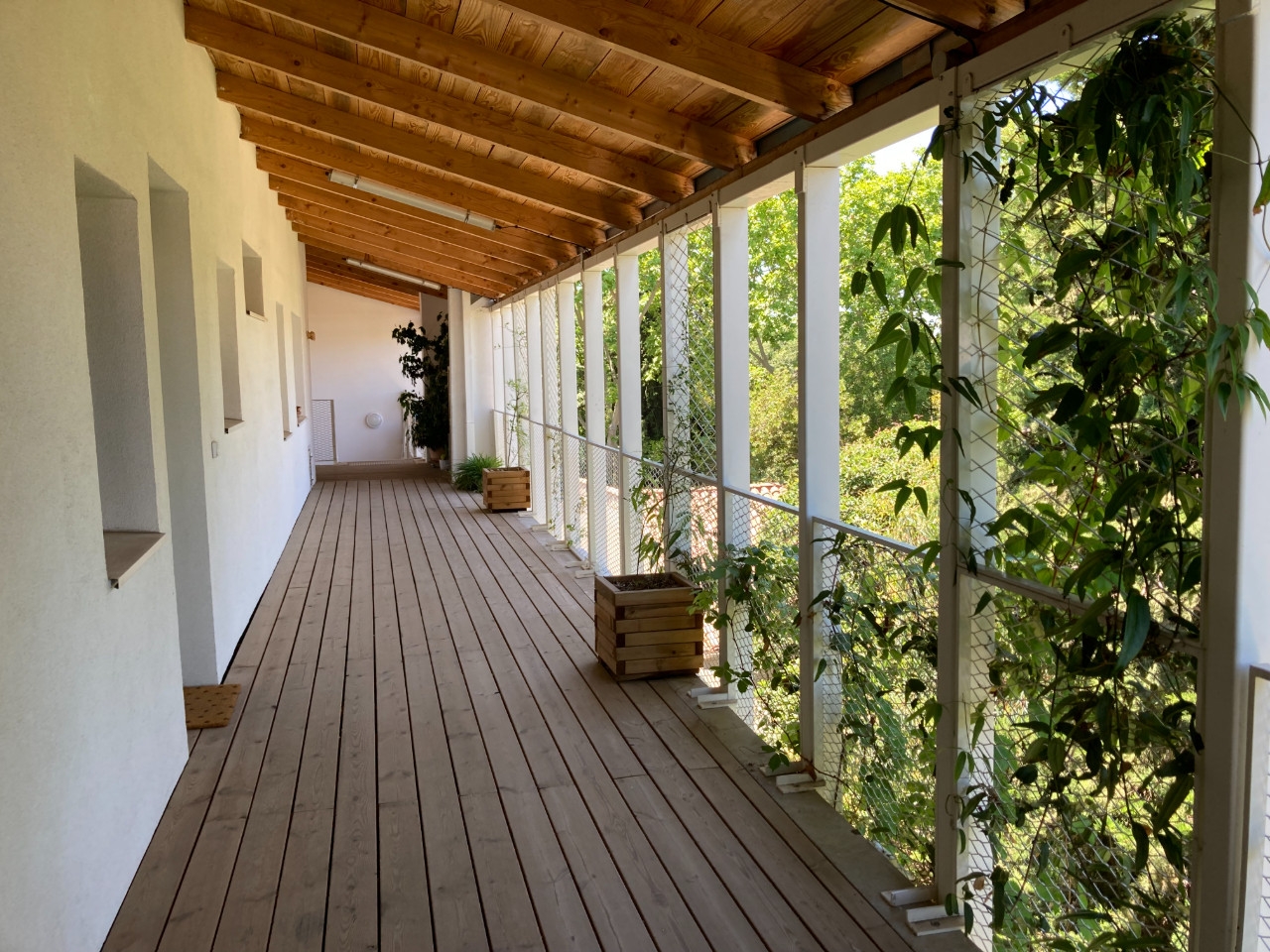 GreenGo Bella vista