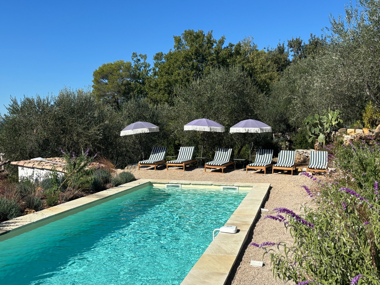 GreenGo location vacances écoresponsables