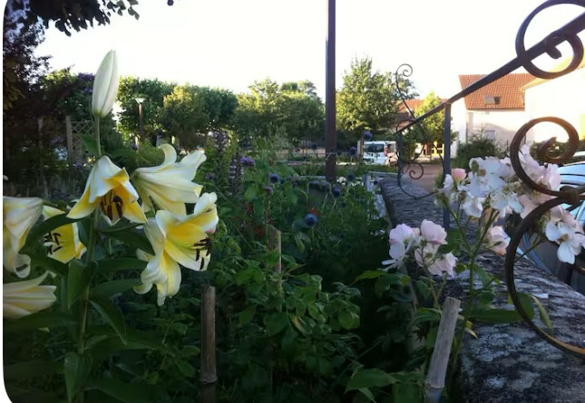 Le jardin aux deux tilleuls